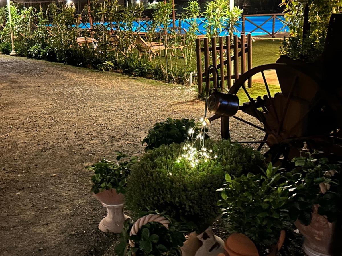 Fattoria Palazzeta - Pet & Family Friendly Aparthotel Cecina  Εξωτερικό φωτογραφία
