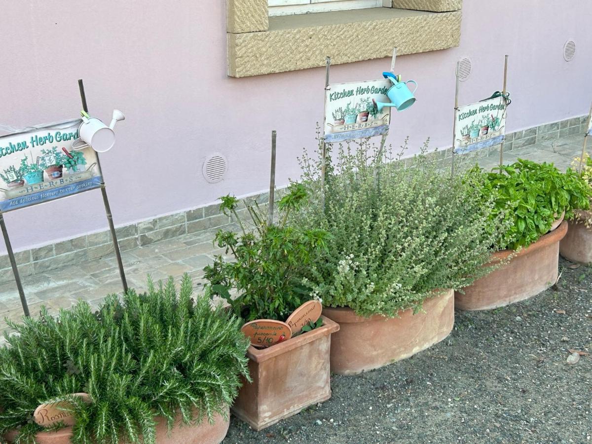 Fattoria Palazzeta - Pet & Family Friendly Aparthotel Cecina  Εξωτερικό φωτογραφία