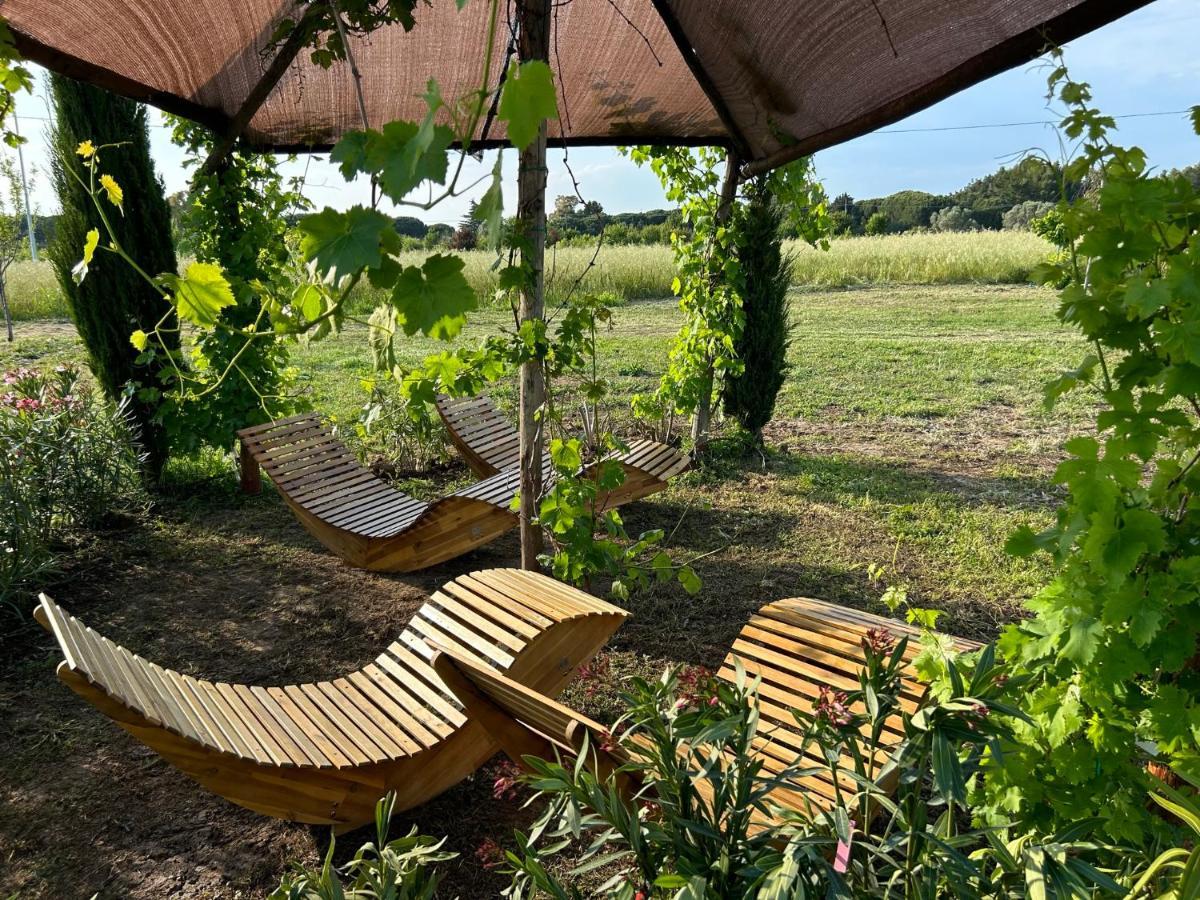 Fattoria Palazzeta - Pet & Family Friendly Aparthotel Cecina  Εξωτερικό φωτογραφία
