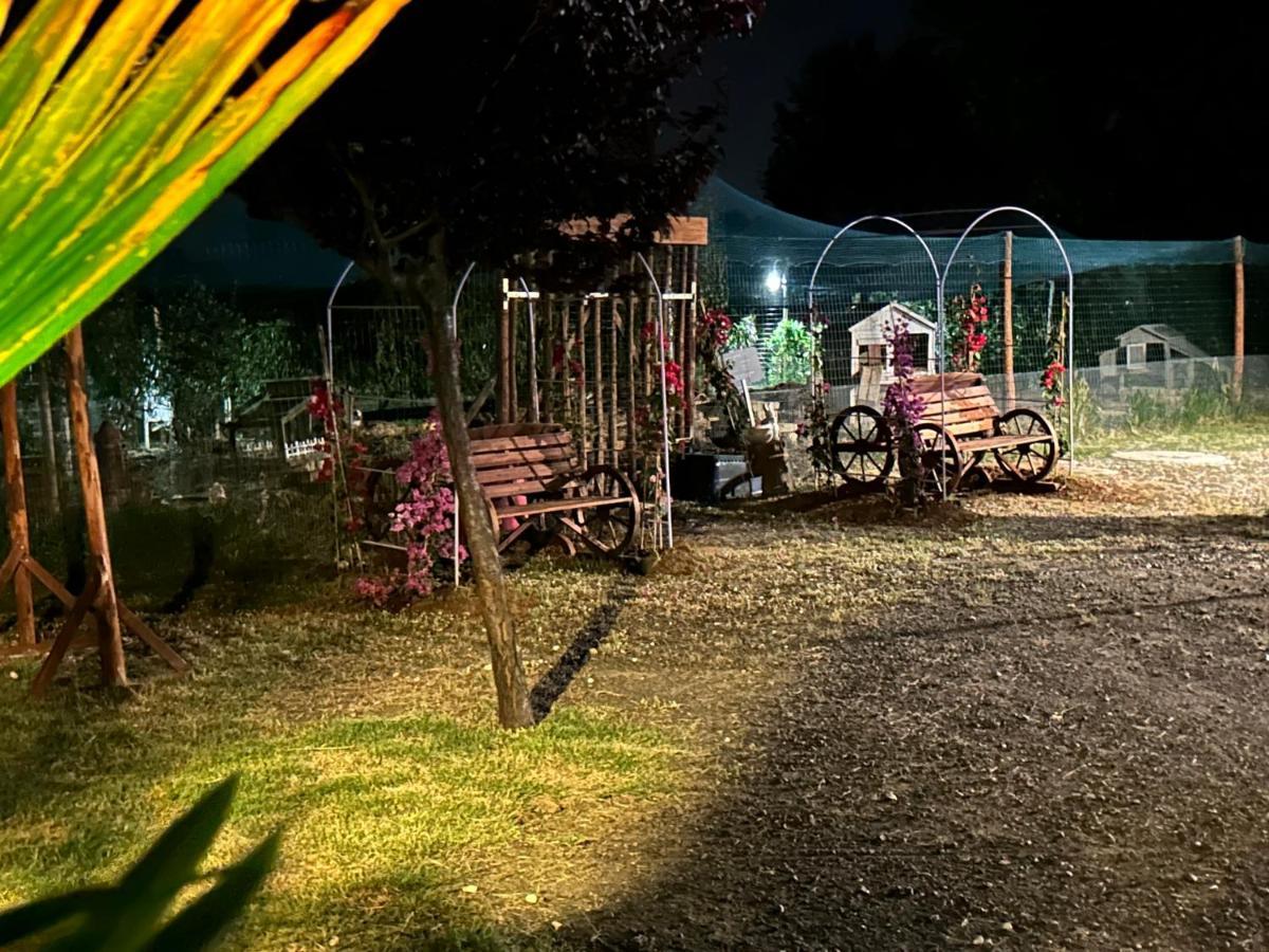 Fattoria Palazzeta - Pet & Family Friendly Aparthotel Cecina  Εξωτερικό φωτογραφία