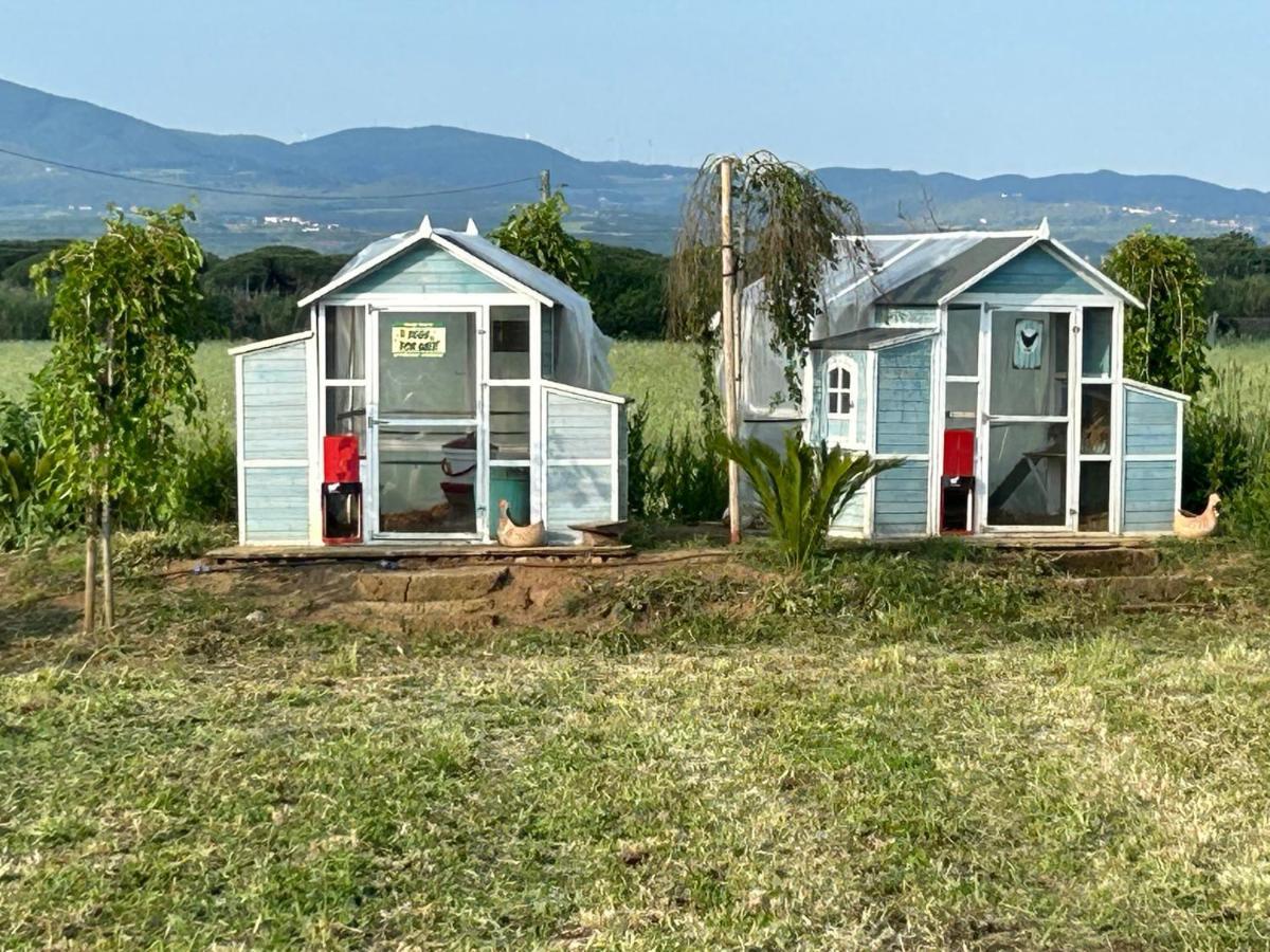 Fattoria Palazzeta - Pet & Family Friendly Aparthotel Cecina  Εξωτερικό φωτογραφία