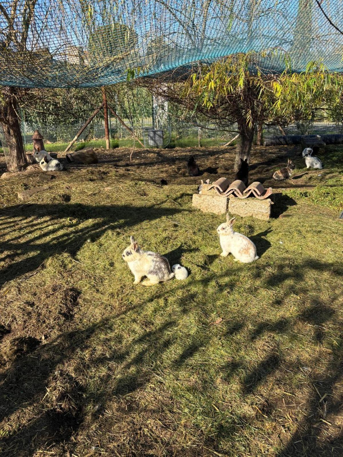 Fattoria Palazzeta - Pet & Family Friendly Aparthotel Cecina  Εξωτερικό φωτογραφία
